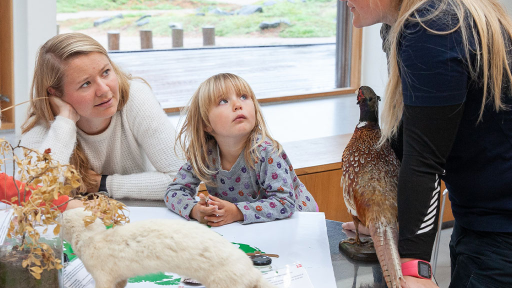Wadden Sea Center, Ribe Camping