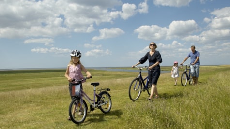 Family on a bike ride by the dike