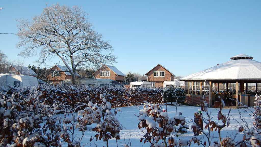 Winter campsite