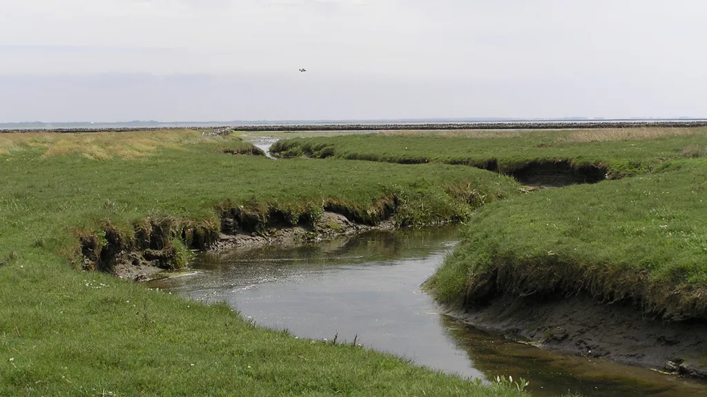 The marsh at the Wadden Sea National Park