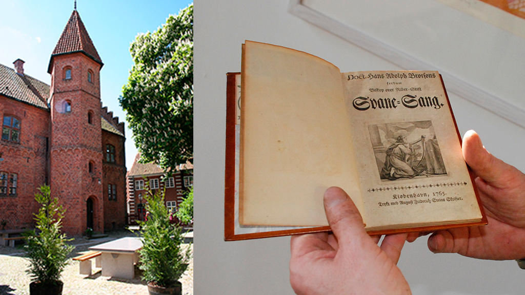 Taarnborg | historische Gebaude in Ribe