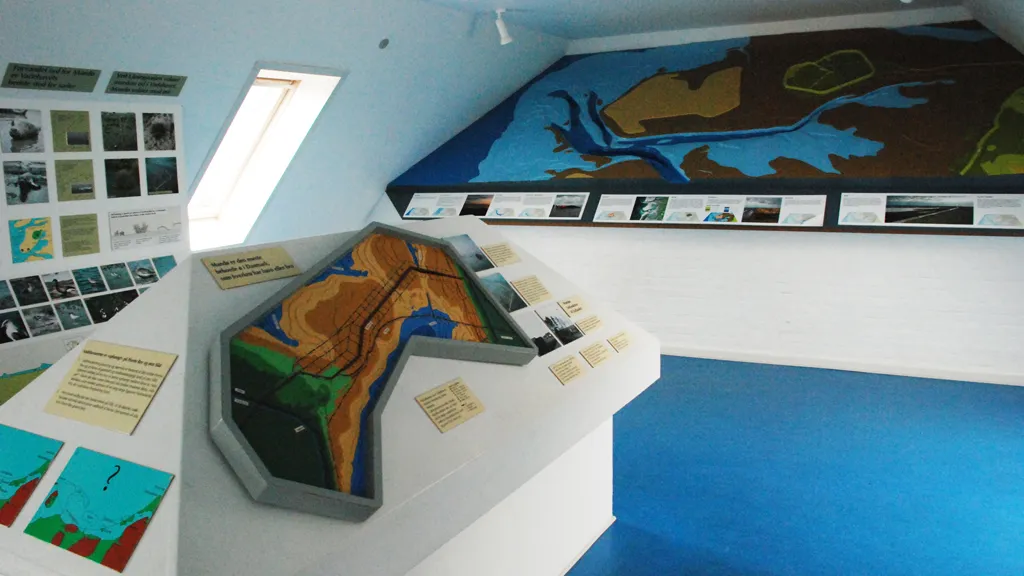 The Nature Exhibition at Mandø