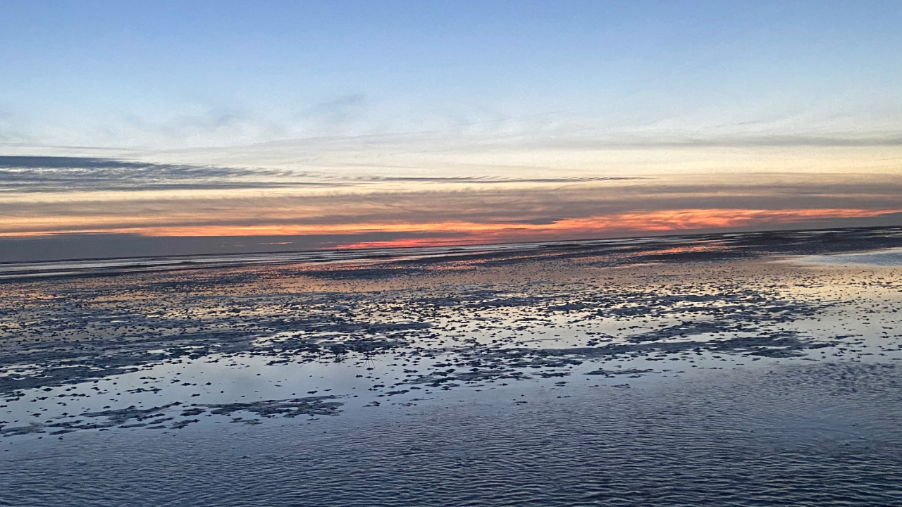Dunkel Mandø