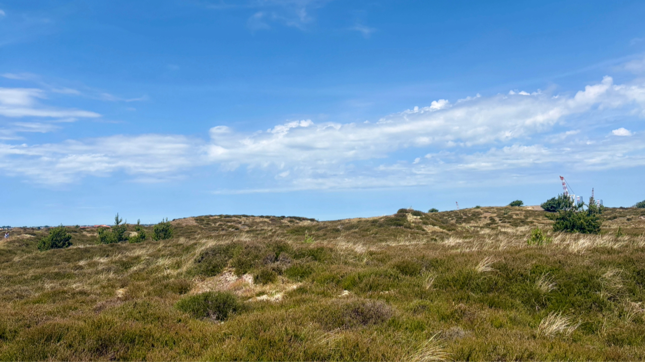 Halen på Fanø