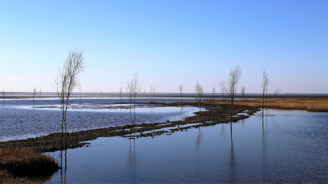 Mandø Ebbevej