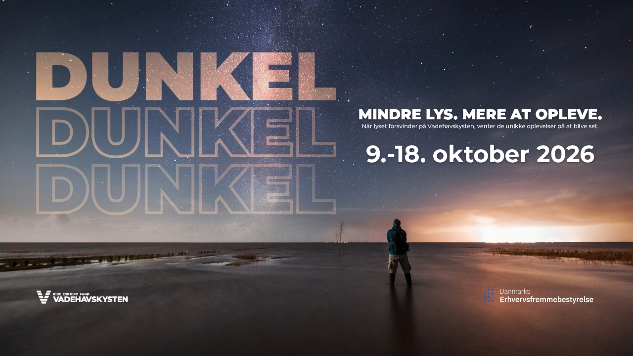 Dunkel Vadehavskysten