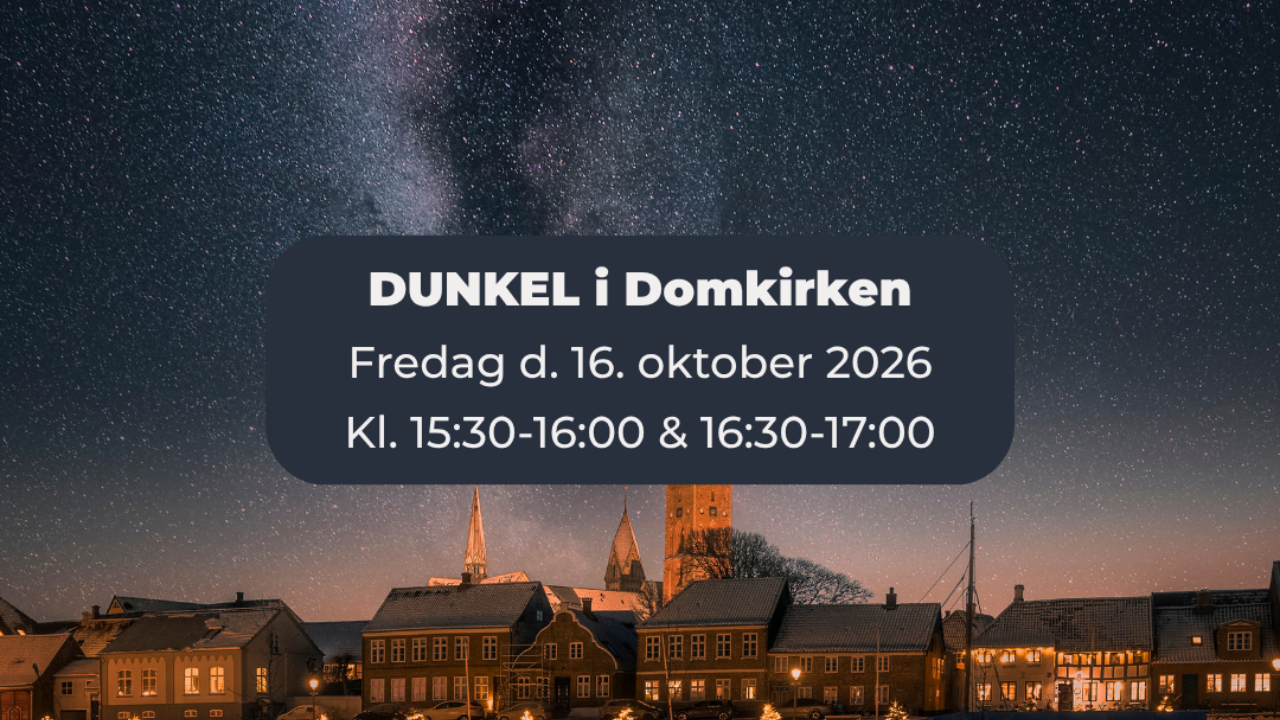 DUNKEL Ribe Domkirke