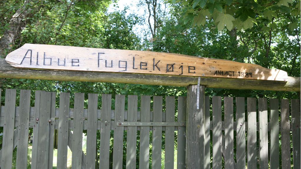 Fugleliv på Fanø