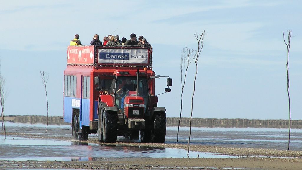 Mandøbussen