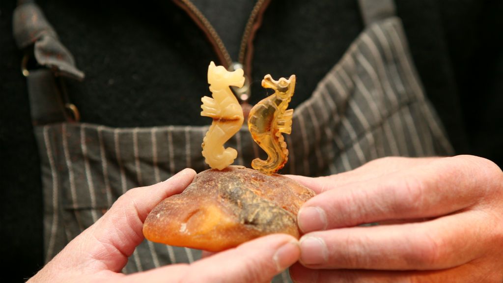 Amber - Fanø's gold