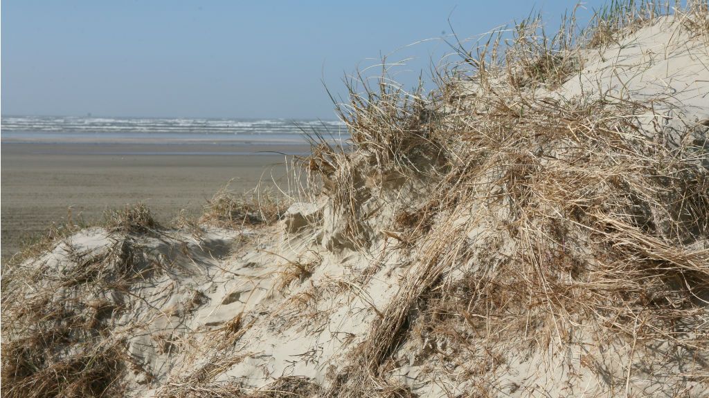 The beach on Fanø