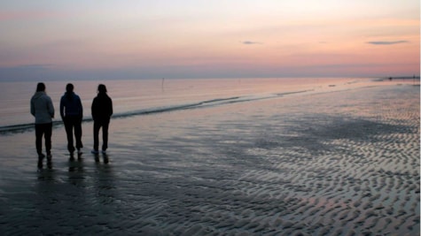 Vadehavet