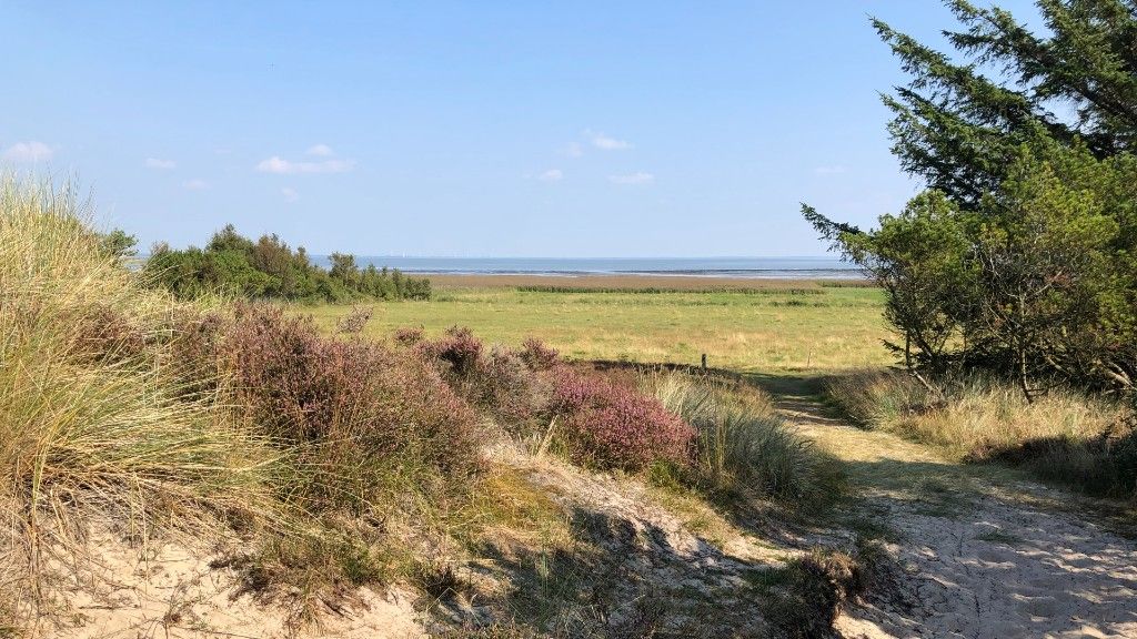 Premium Vandrerute Fanø Klitplantage