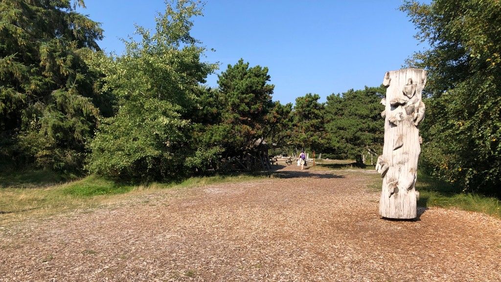 Premium Vandrerute Fanø Klitplantage