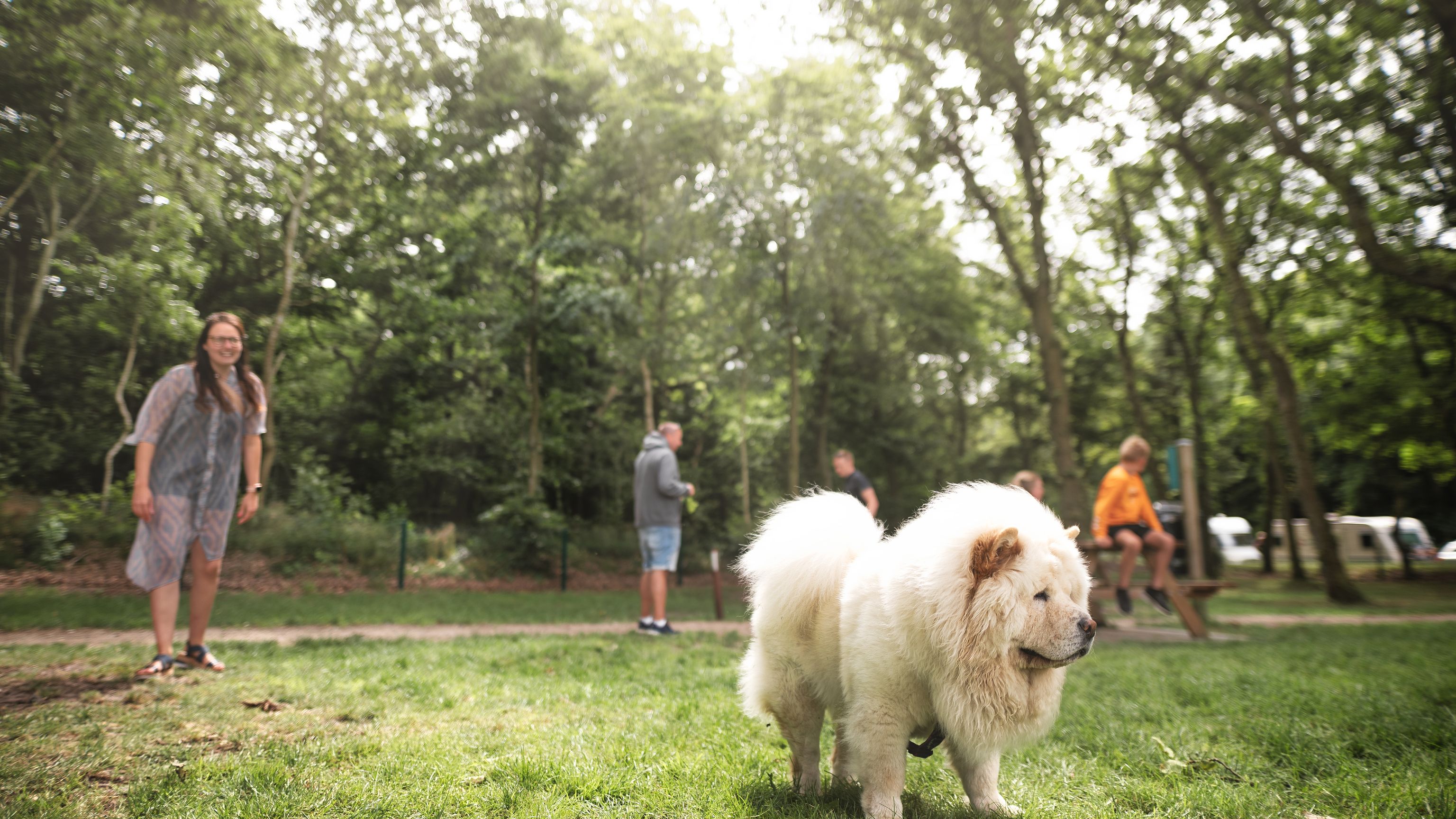 Hunde er meget velkomne på Ribe Camping.