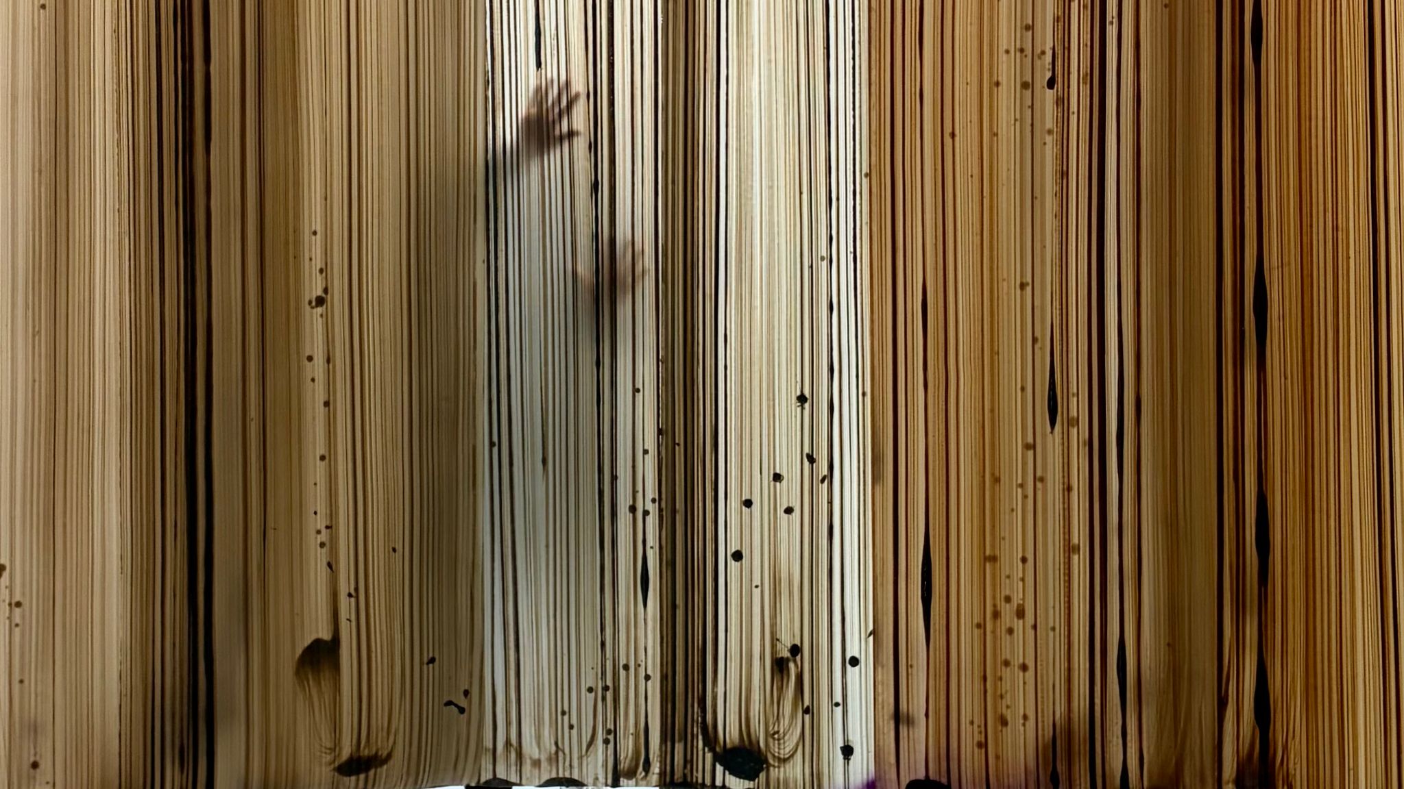 Special exhibitions Esbjerg Art Museum