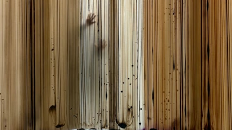 Ruth Campau, The sound of brown and green, 2026