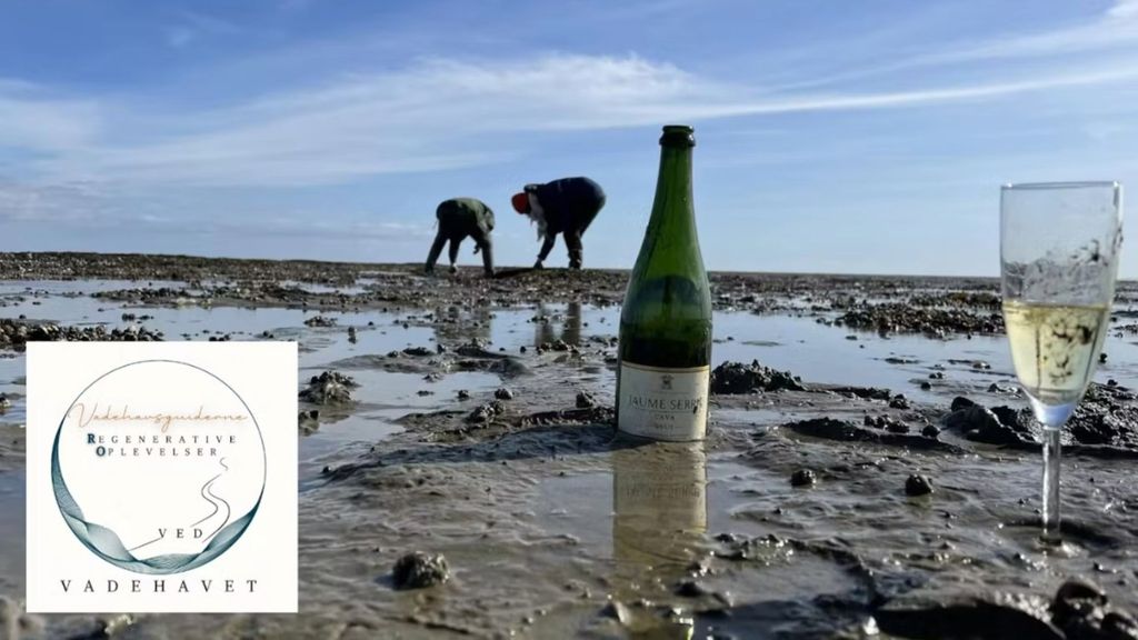 Østers, Champagne og Saunagus