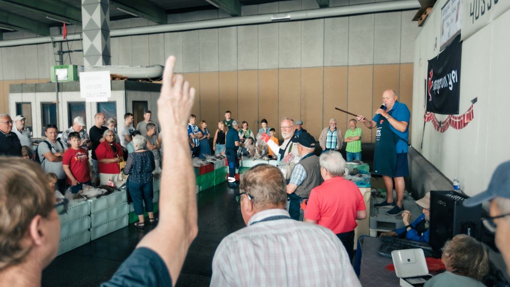 Fisch Auktion für Touristen in Esbjerg