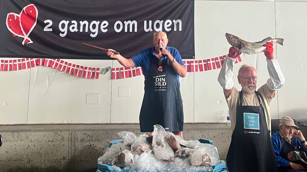 Fisch Auktion für Touristen in Esbjerg