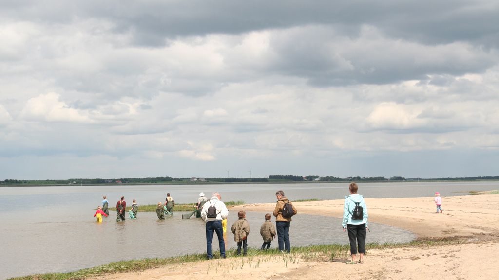 Nationalparktag / Marbæktag in Esbjerg