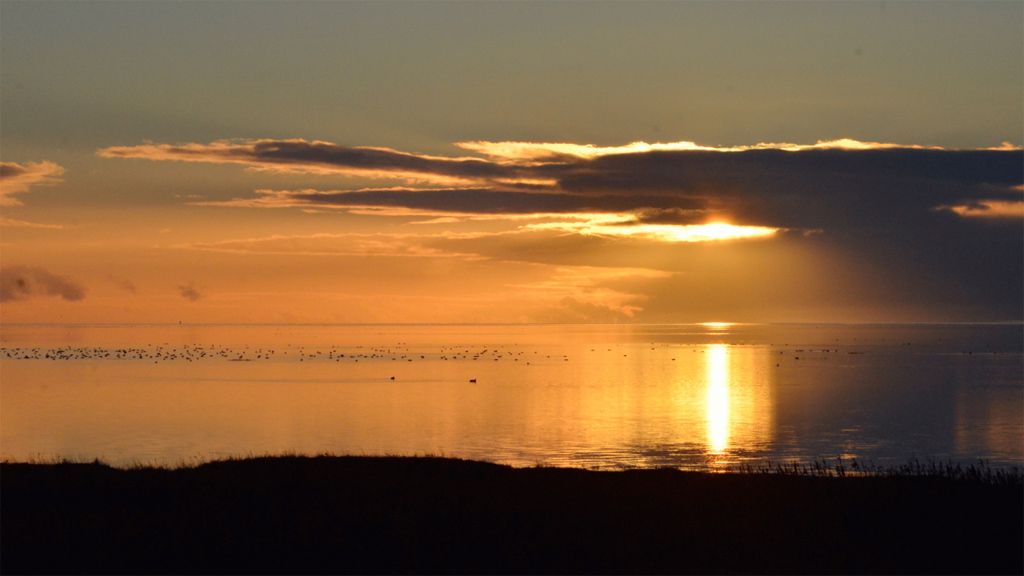 Wadden Sea by Night