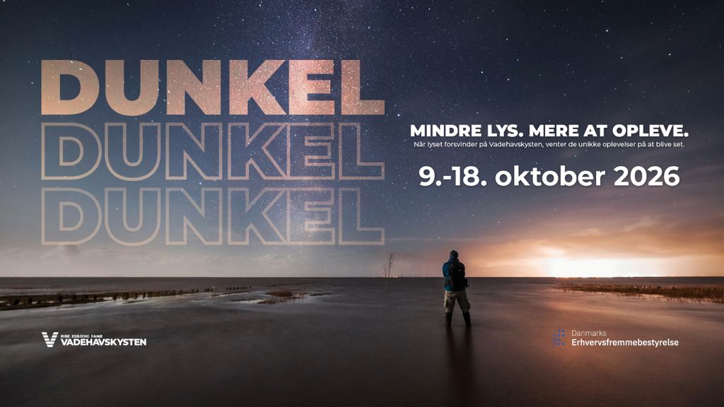 DUNKEL - Arts & Crafts art exhibition on Fanø