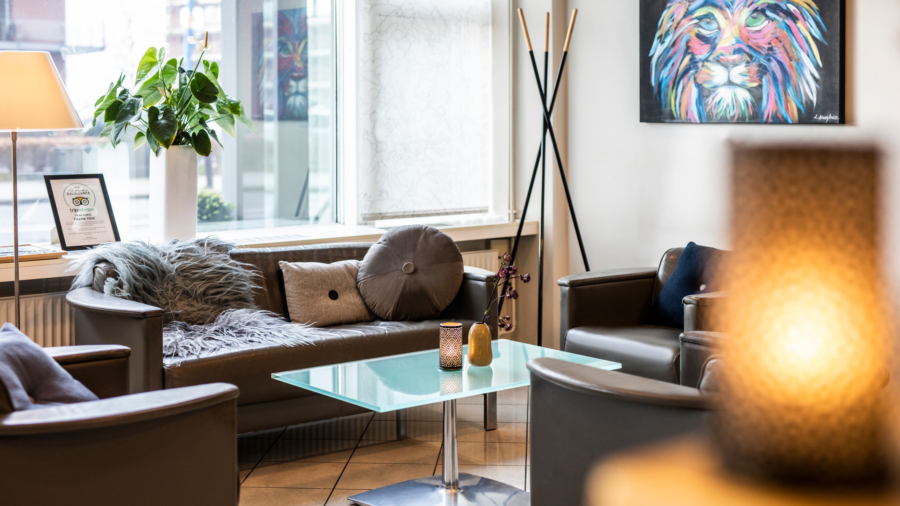 Cozy lounge