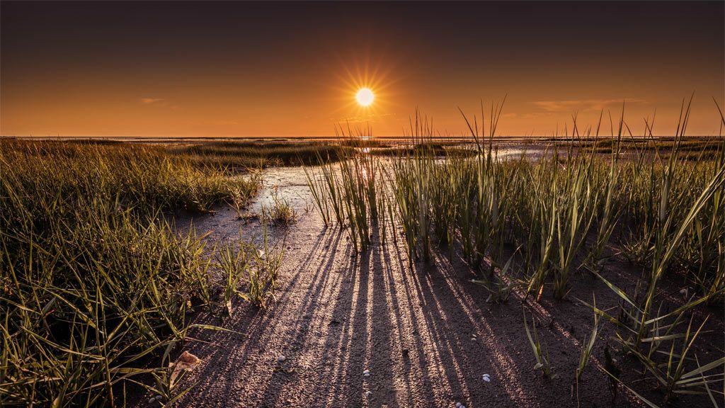 Wadden Sea sunset