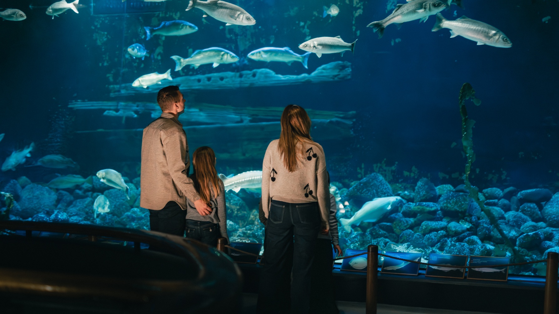 Visitors at the aquarium