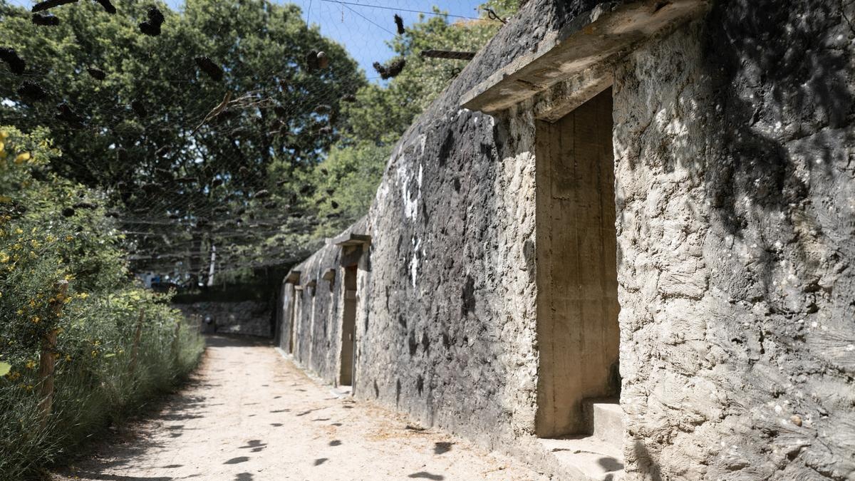 Weg am Bunker