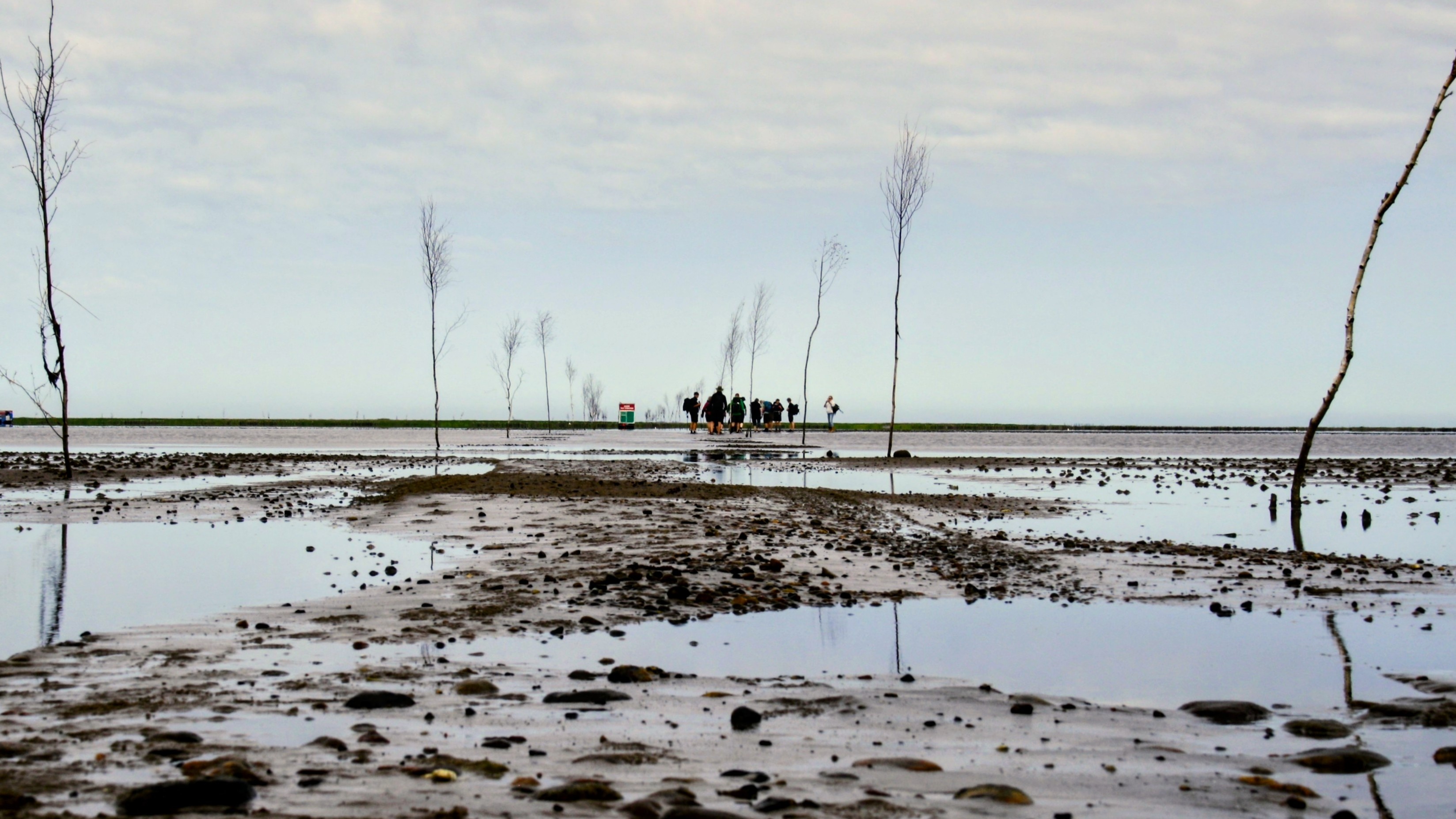 Group in shallow water