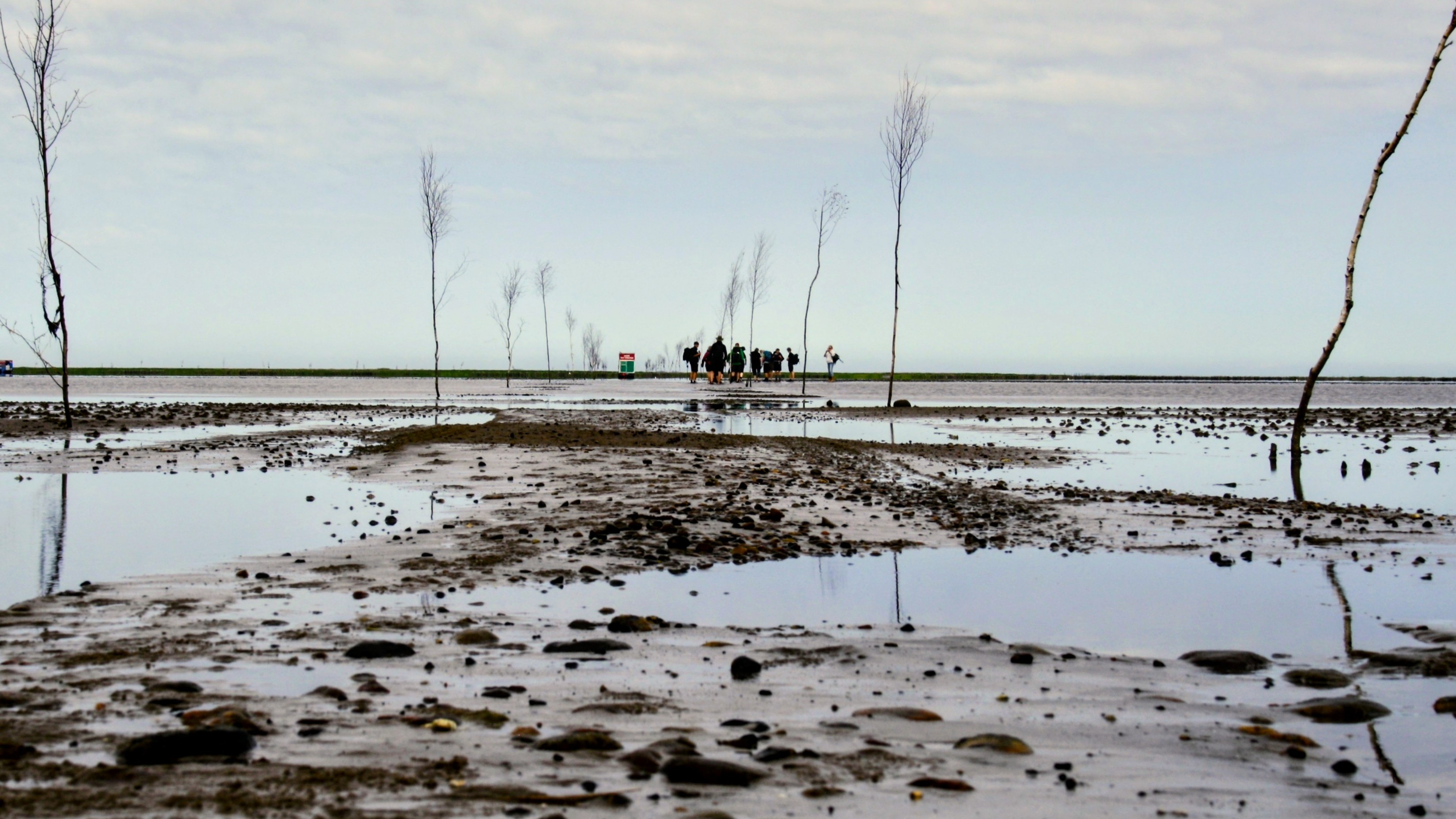 People on muddy ground