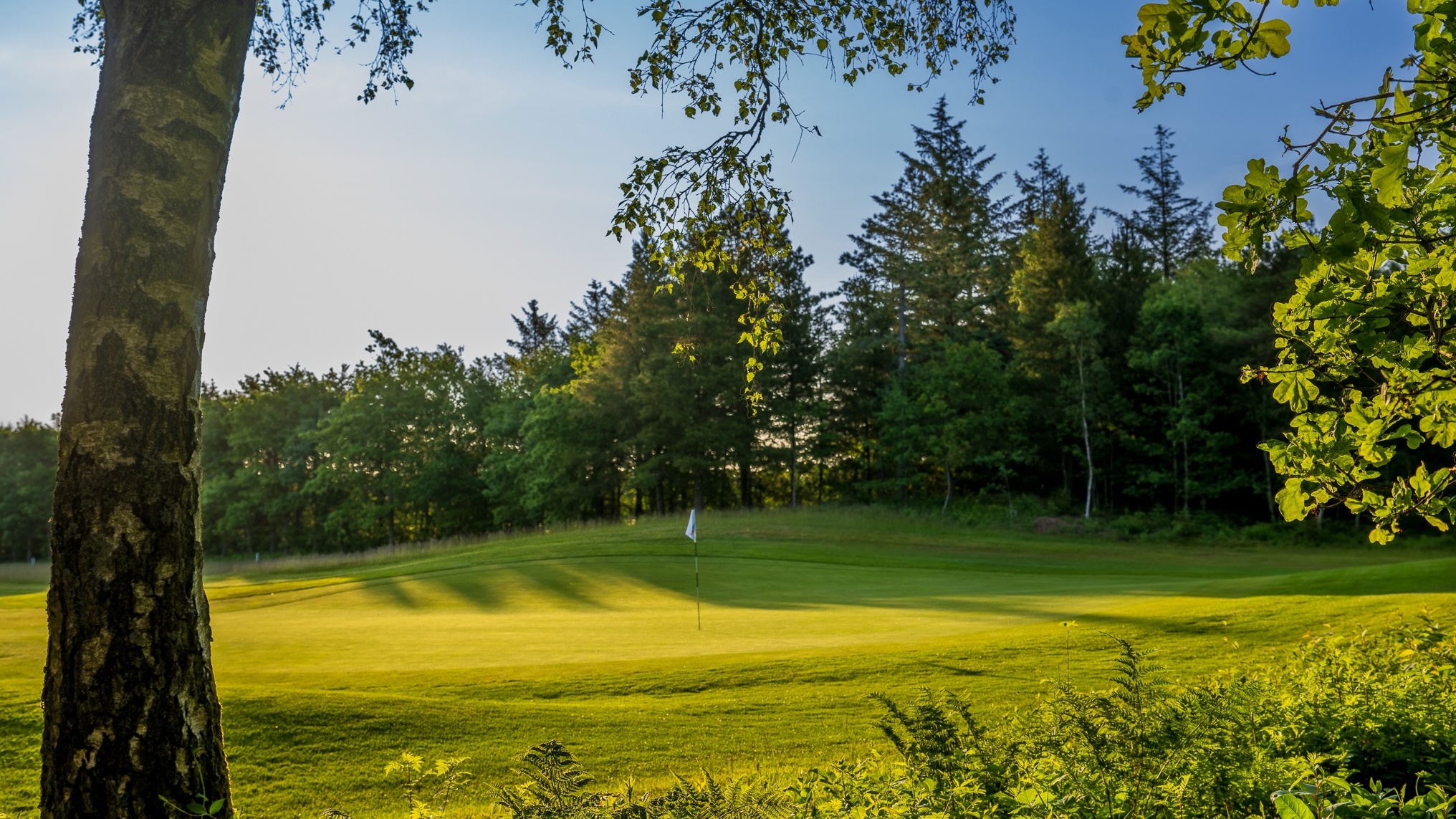 Golf course at sunset