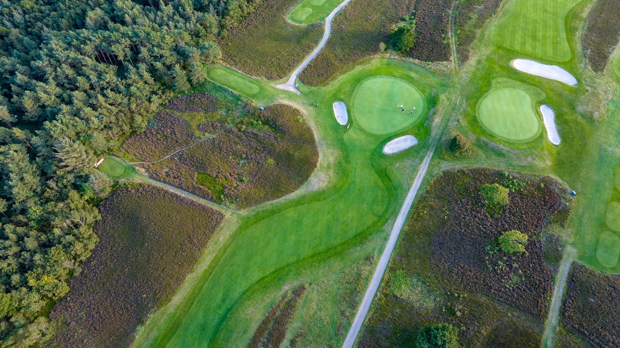 Golf course from above