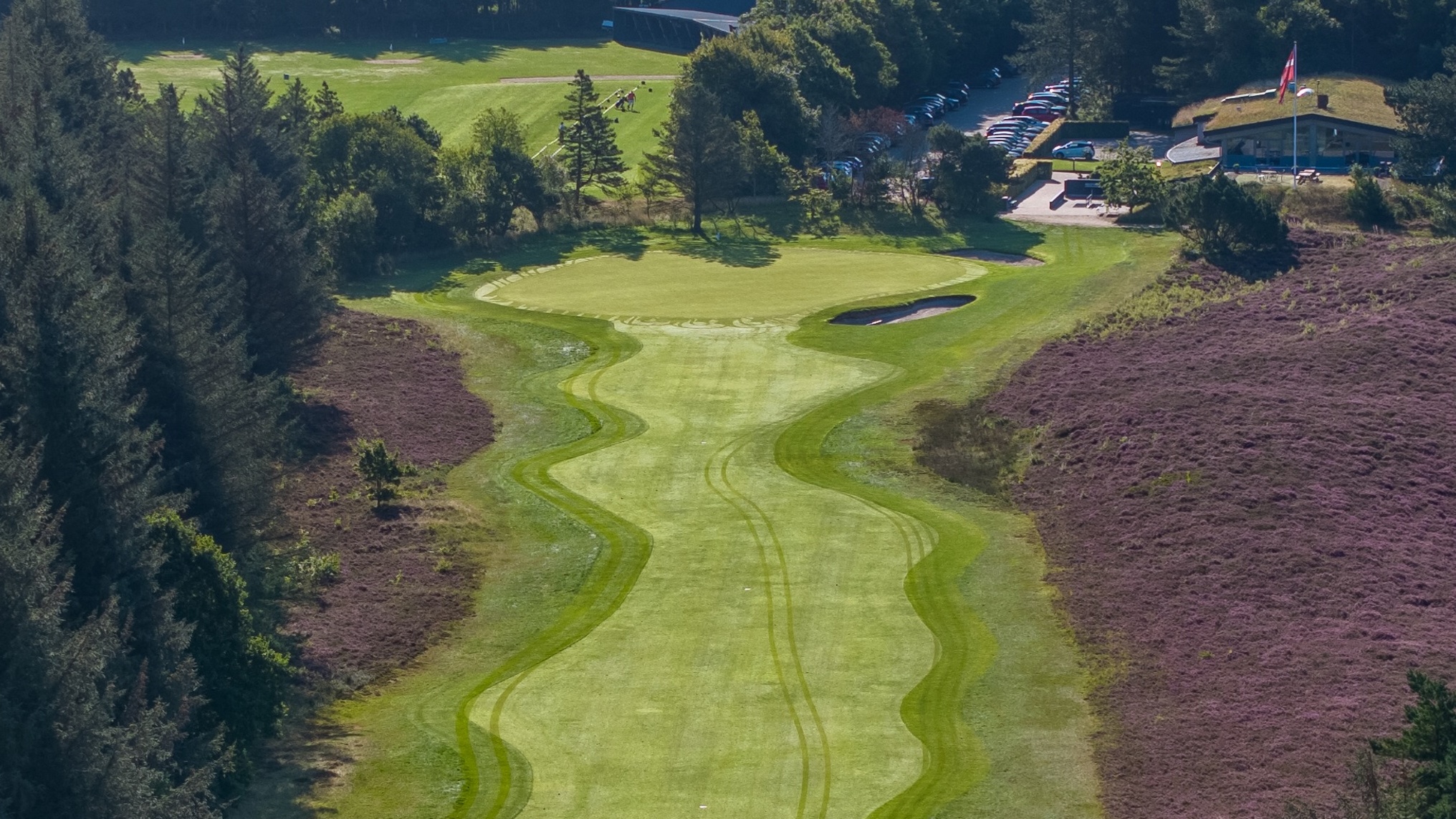 Golf course in nature