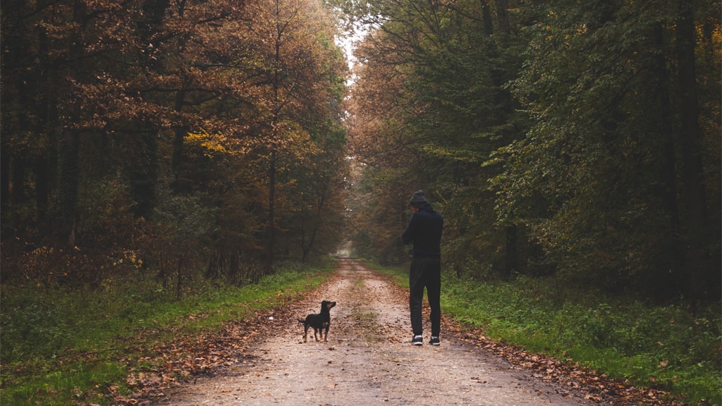 En mand med hans hund i skoven