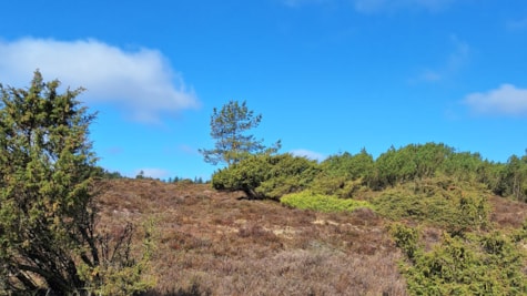 Natur-Trivsel