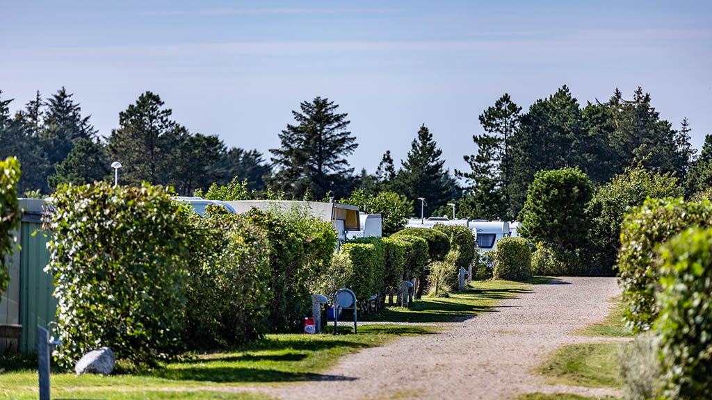 StjerneCamping campsite, Vejers Strand