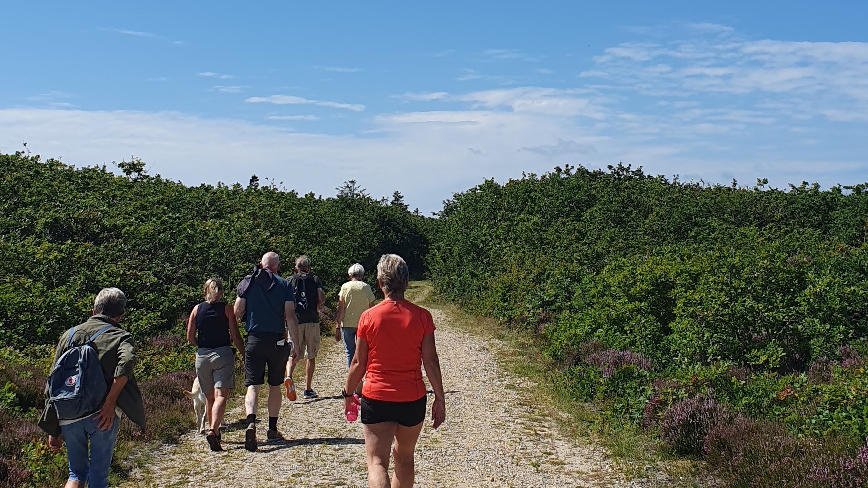 vandregæster på tur