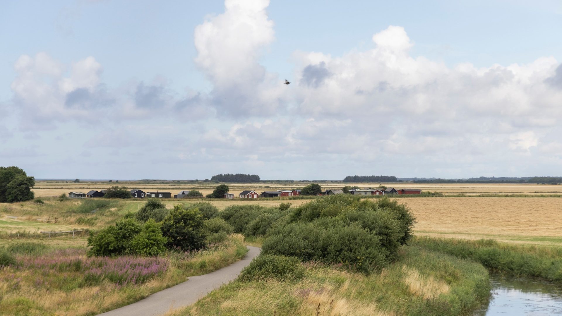 Det åbne landskab omkring Stauning og Ringkøbing Fjord