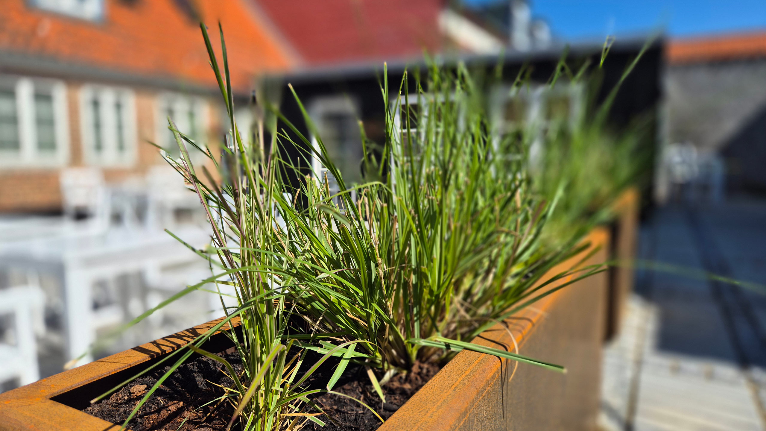 Pflanzkasten auf der Terrasse
