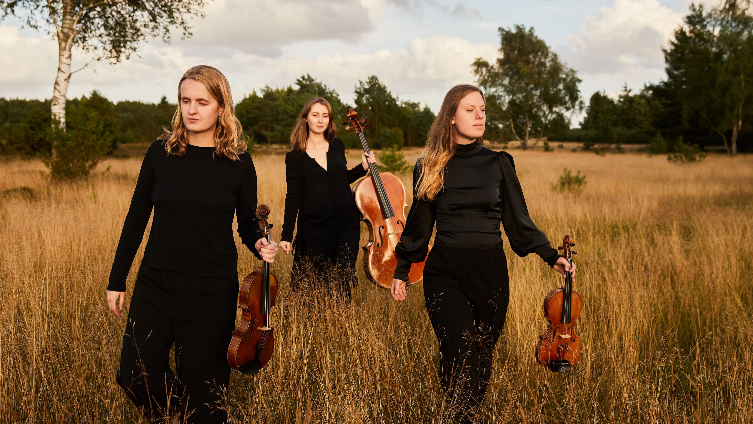 Trio col Basso mit Violine und Cello in einer sommerlichen Landschaft.