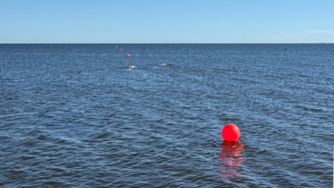 Udendørs svømmebane i Ringkøbing Fjord