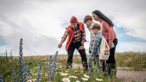 Familie udforsker planter sammen med en formidler
