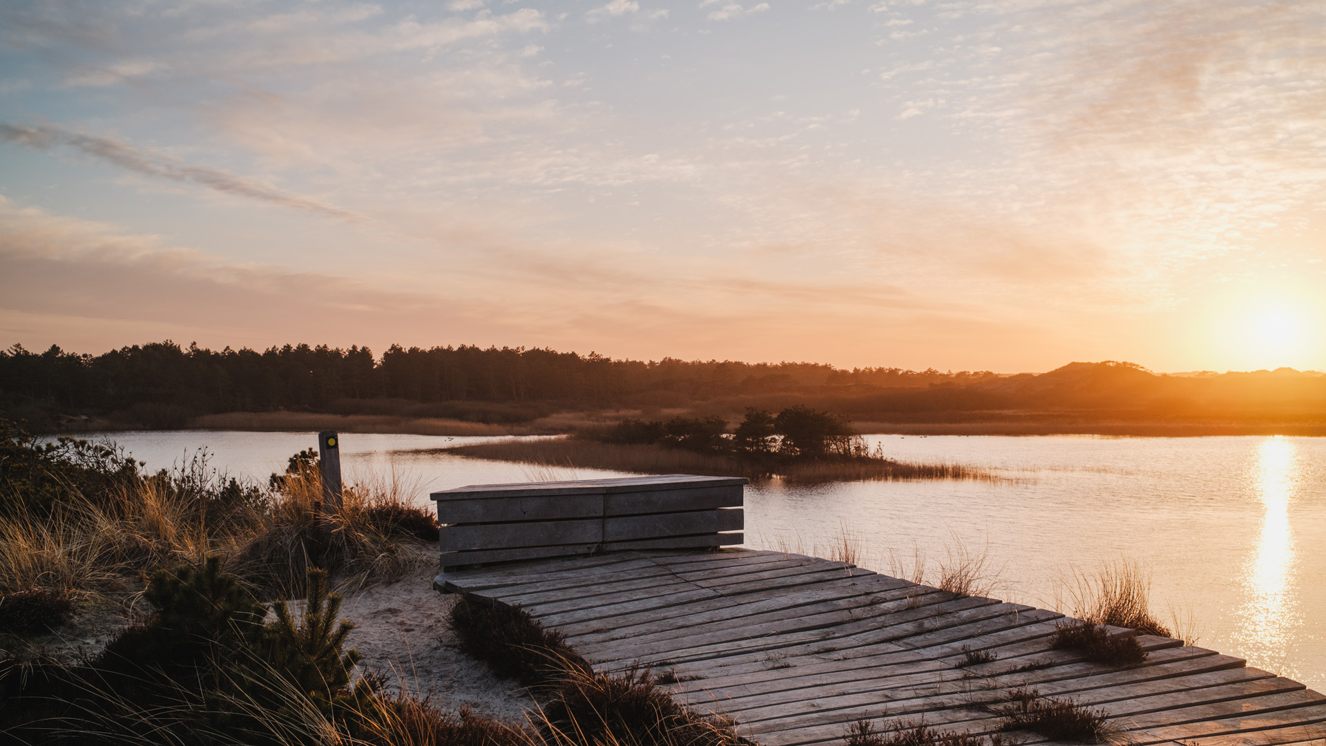 Wooden platform by Grærup Langsø at sunset
