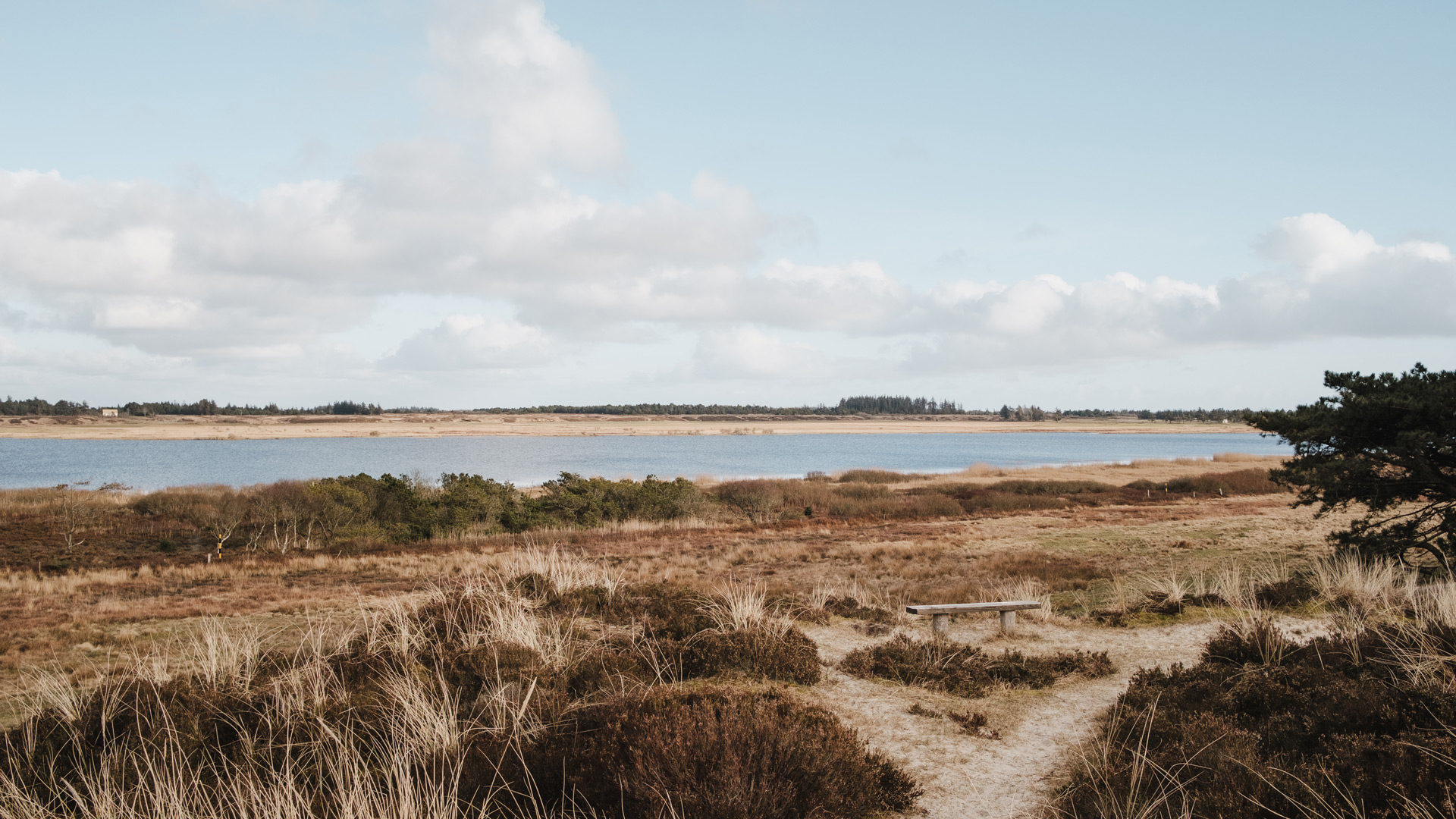 View across Grærup Langsø and heathland