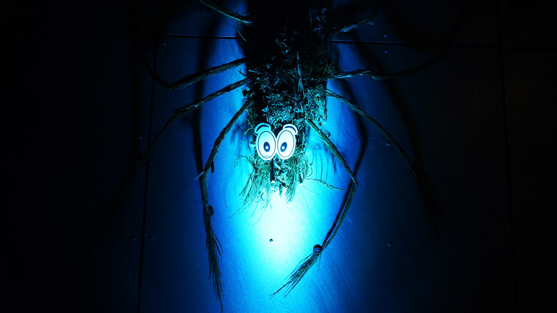Large spider decoration illuminated with blue light in the dark.