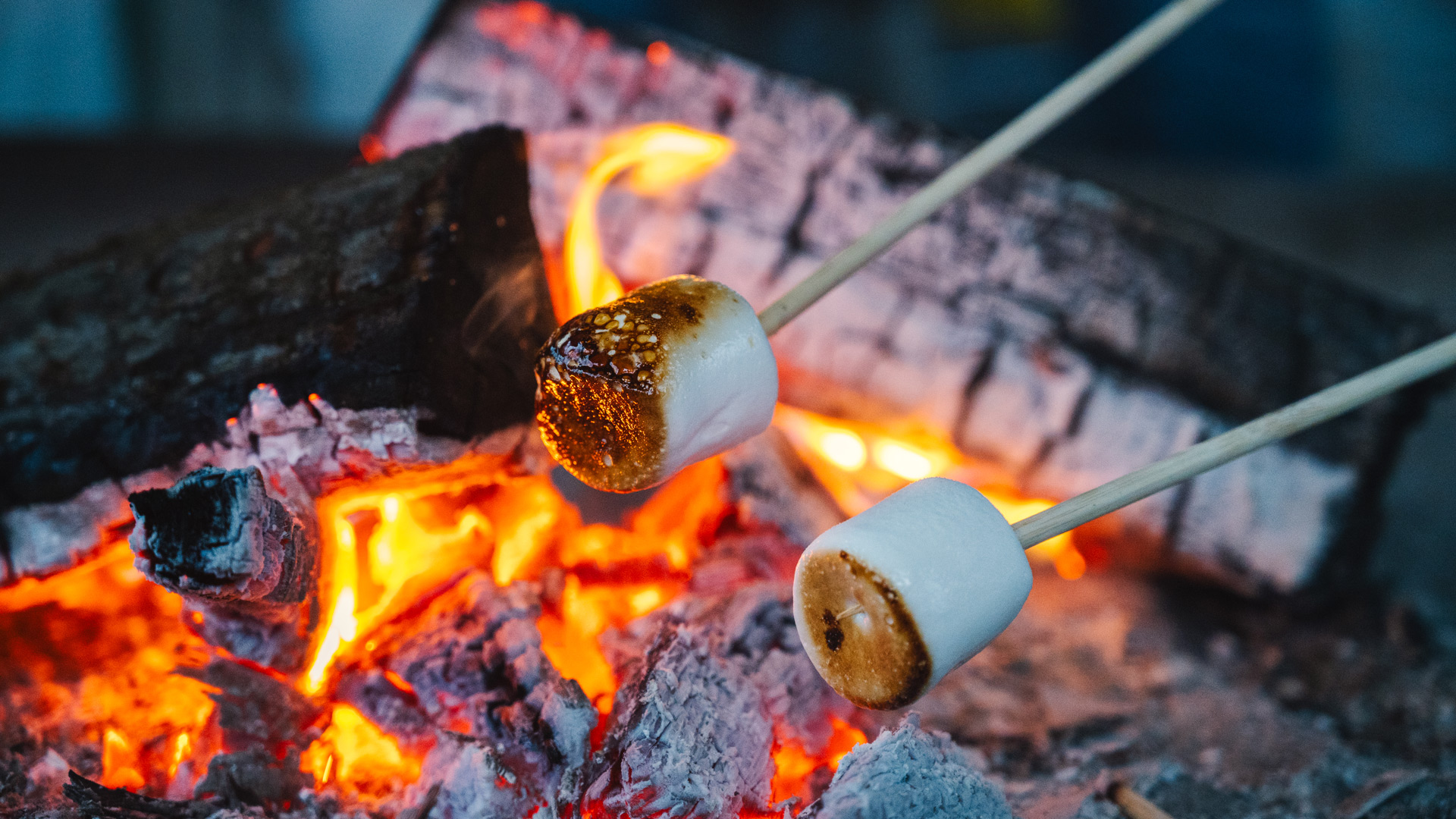 Marshmallows being toasted over glowing embers and an open fire.