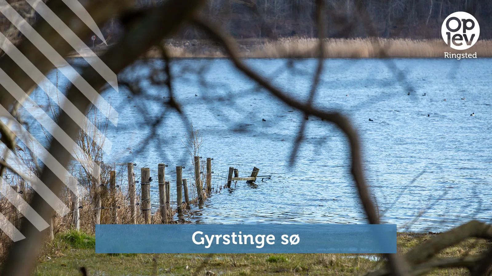Gyrstinge Lake